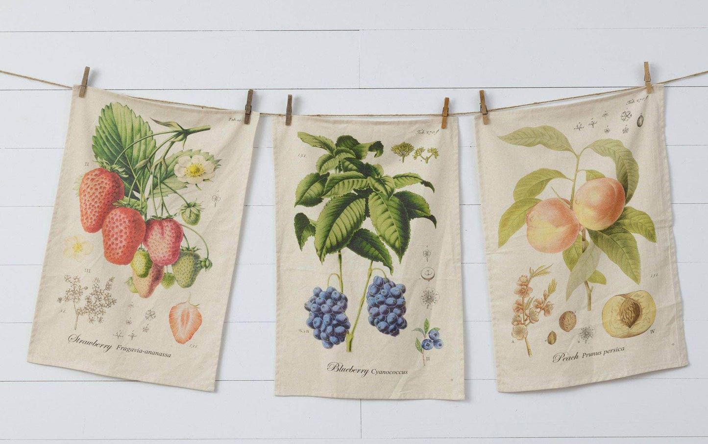 Tea Towels - Freshly Picked (Pk/03 Ast) - Songbird Gifts