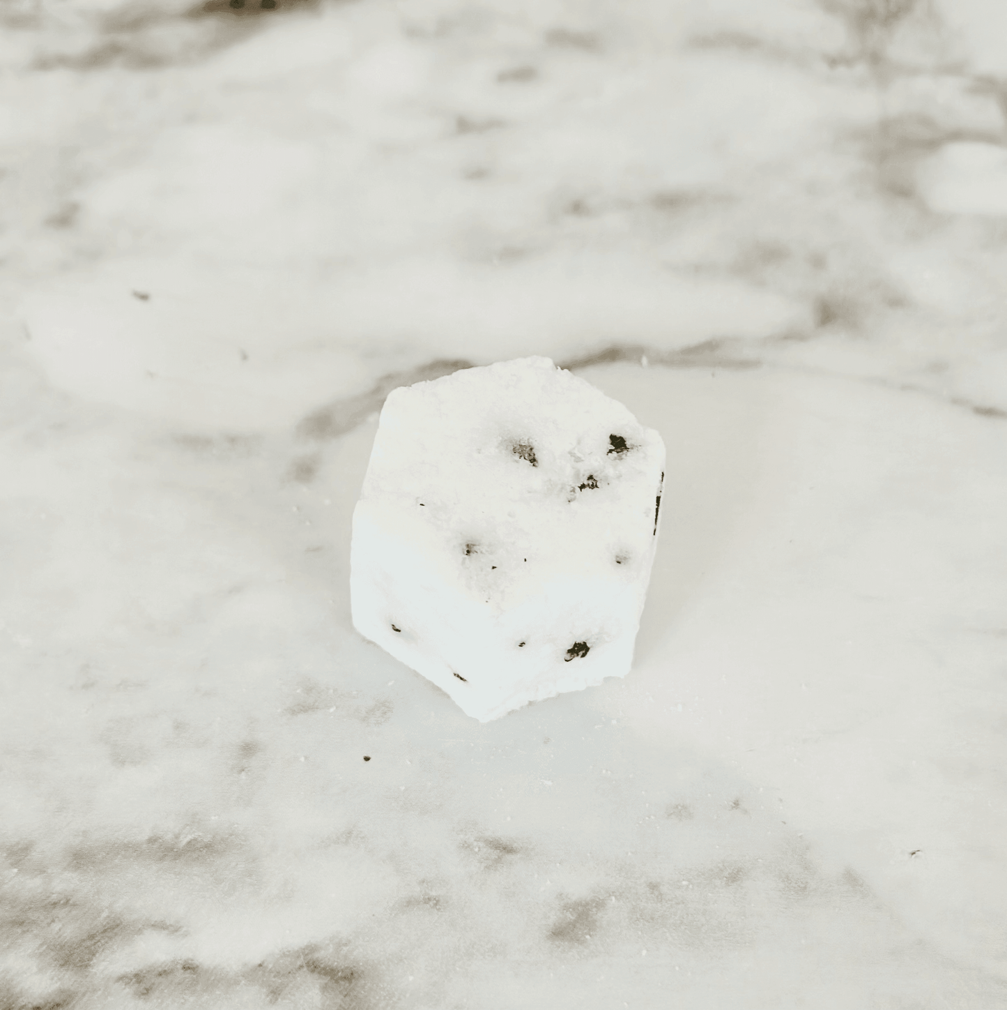 Peppermint + Eucalyptus Mini Shower Steamers - Songbird Gifts
