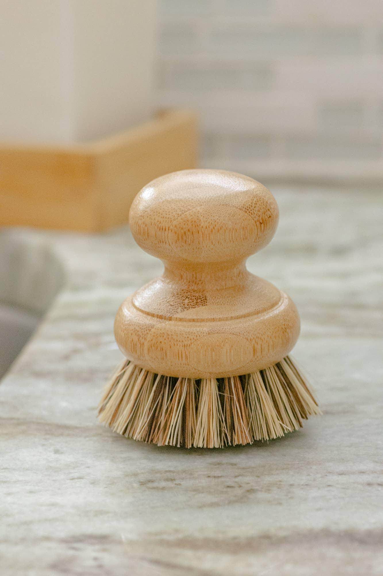 CASA AGAVE® Pot Scrubber Brush - Songbird Gifts