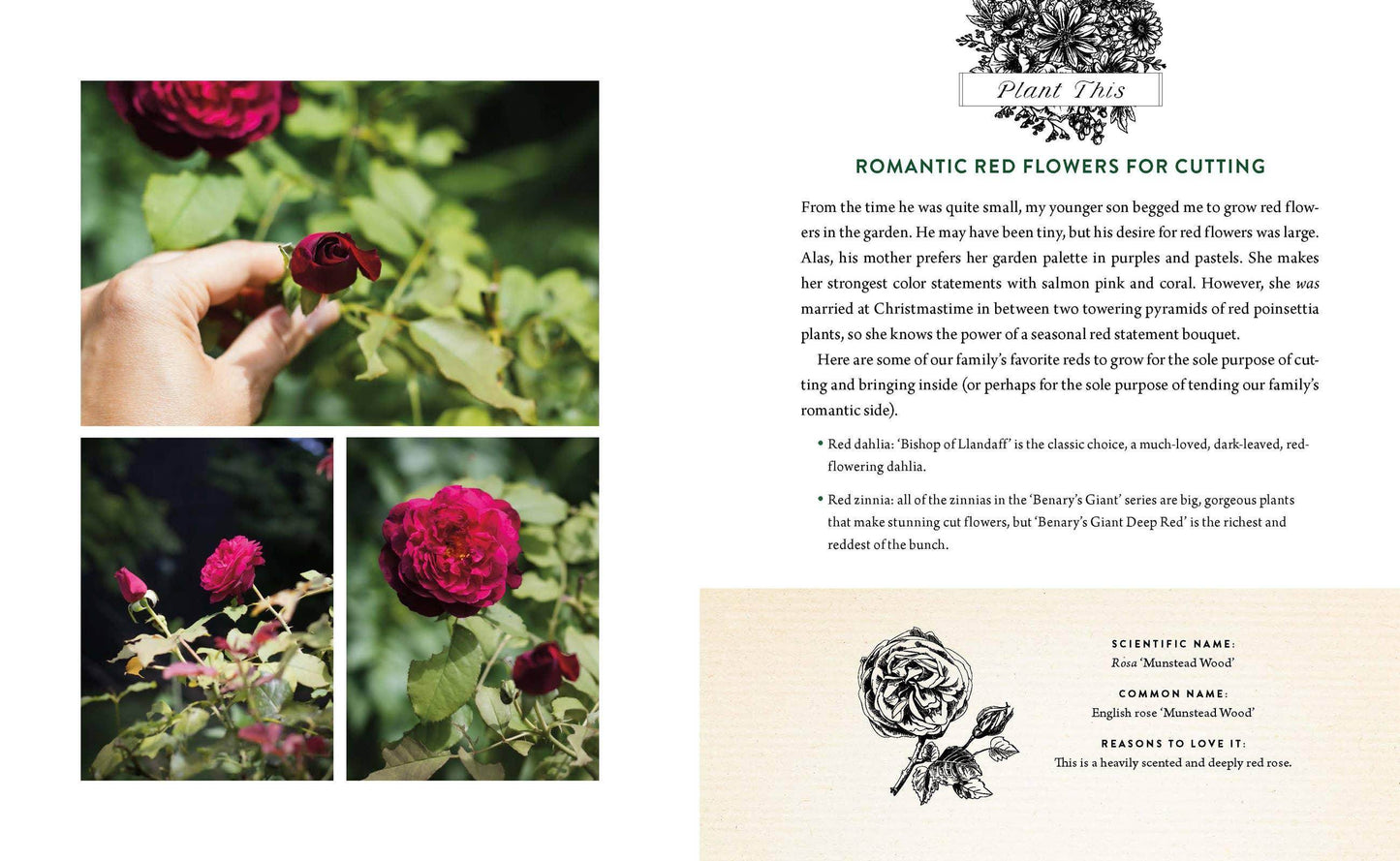 A Home in Bloom - Songbird Gifts