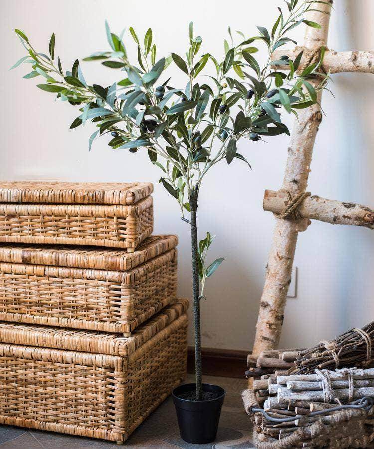 Artificial Olive Tree - Songbird Gifts