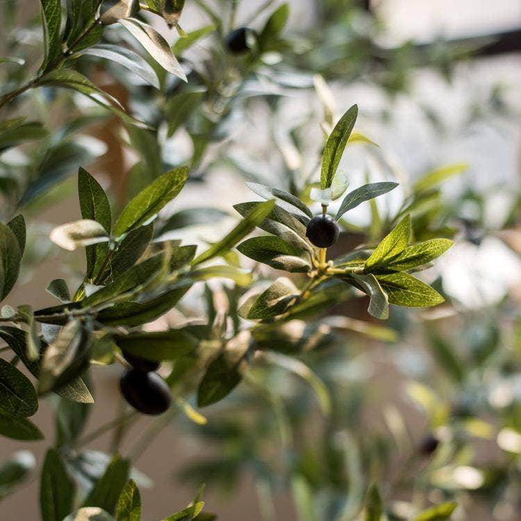 Artificial Olive Tree - Songbird Gifts