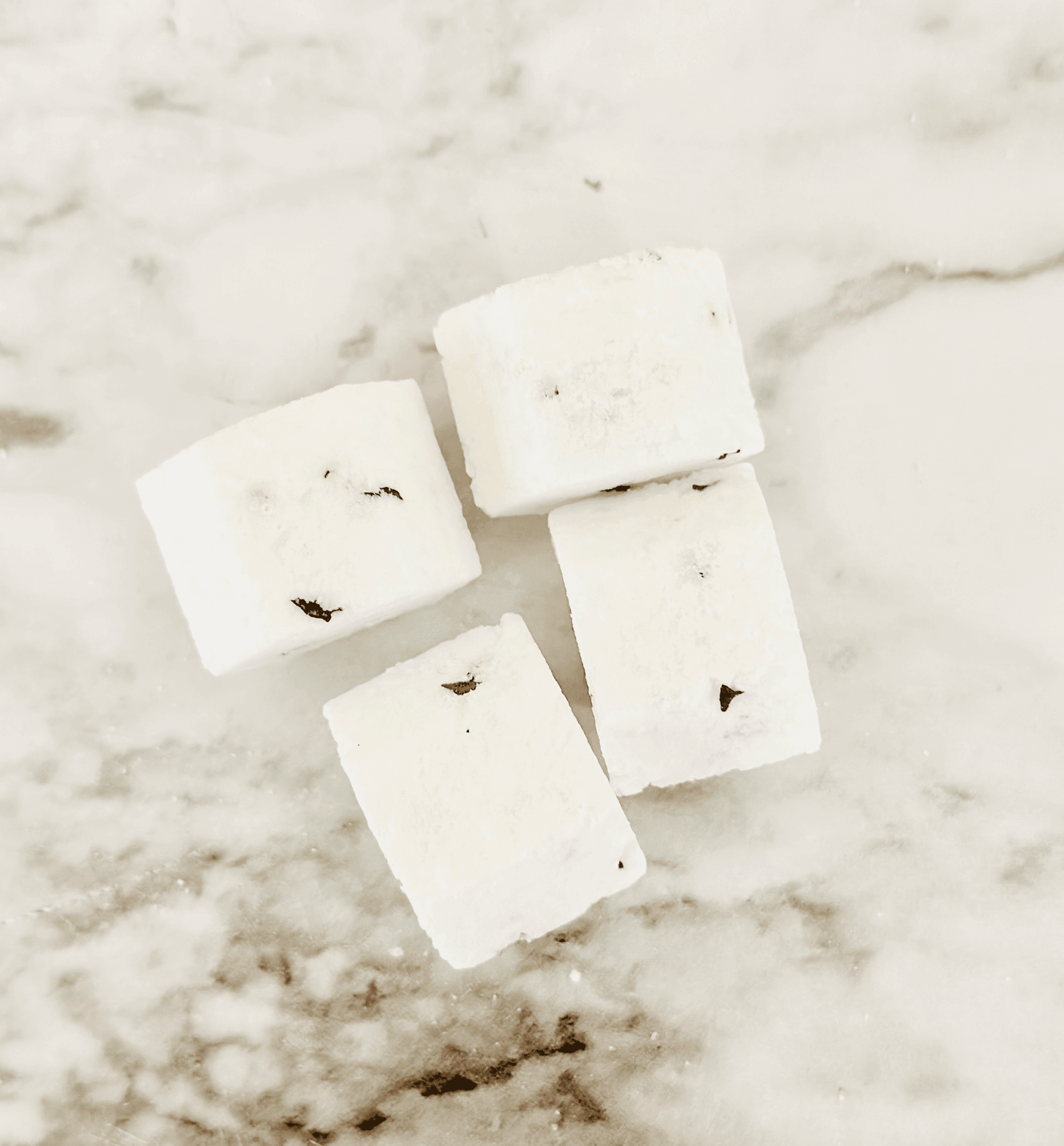 Peppermint + Eucalyptus Mini Shower Steamers - Songbird Gifts