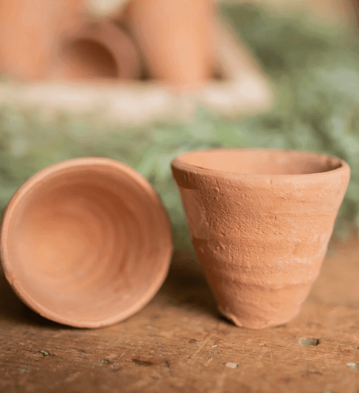 Rustic Mini Terracotta Pot - Songbird Gifts
