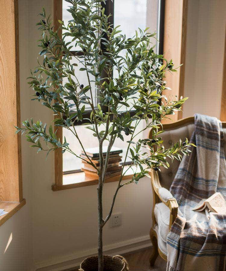 Artificial Olive Tree - Songbird Gifts