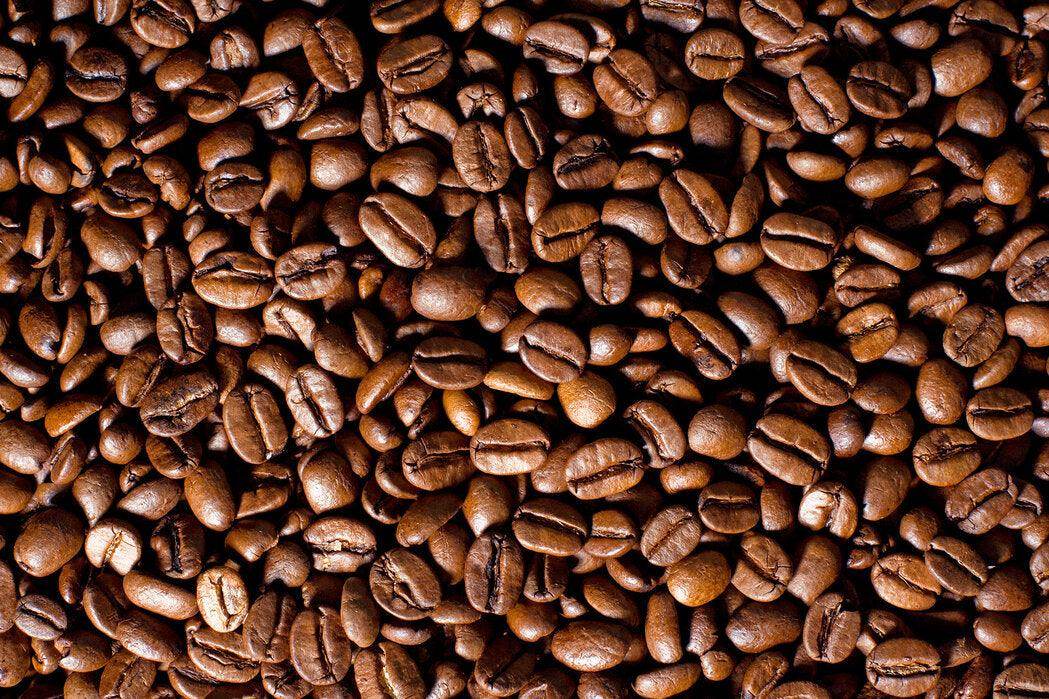 Off Duty Coffee Roastery ( El Dragon) 12OZ - Songbird Gifts