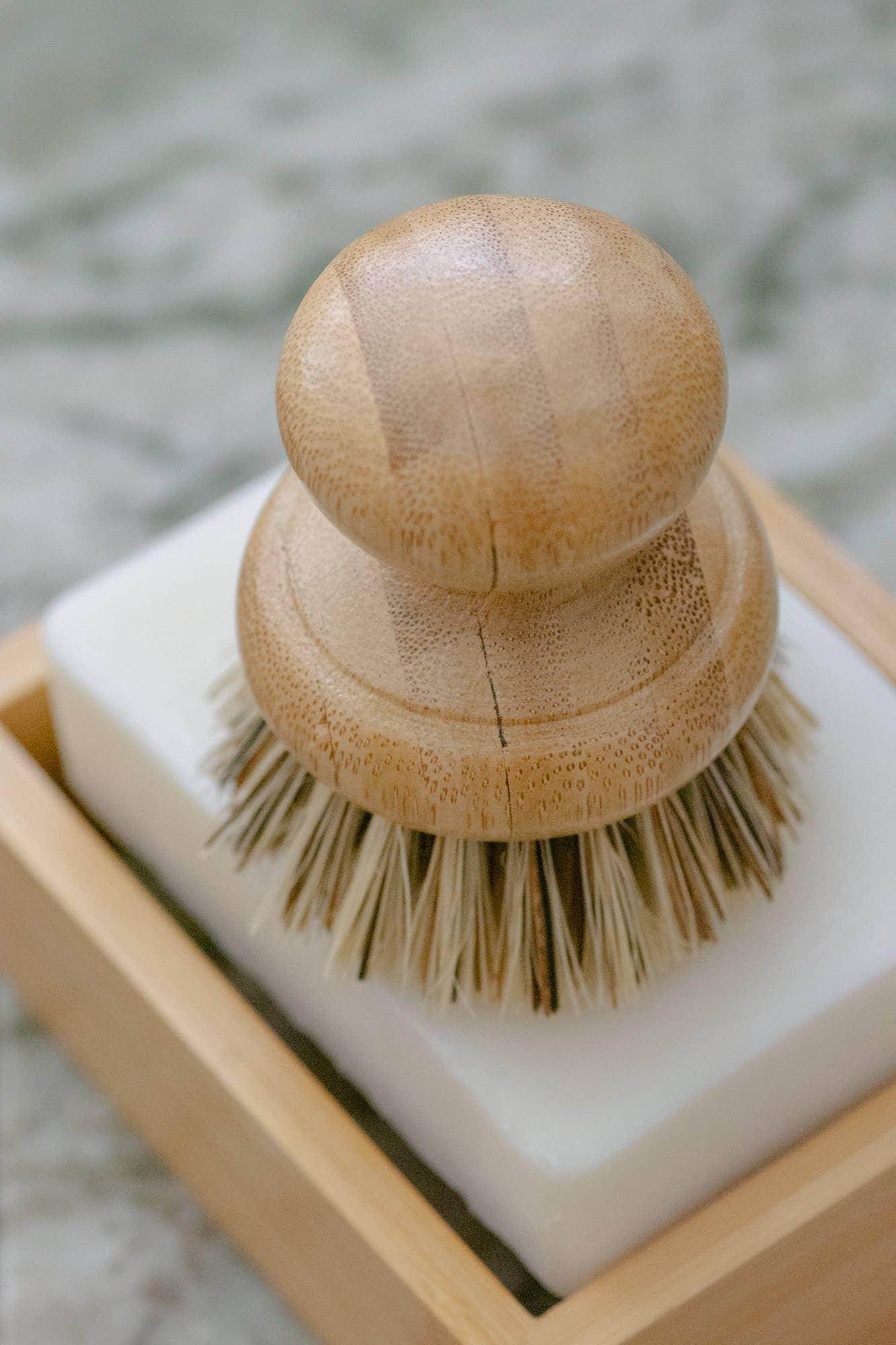 CASA AGAVE® Pot Scrubber Brush - Songbird Gifts