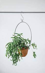 Hanging Terracotta Planter with Metal Hanger - Songbird Gifts