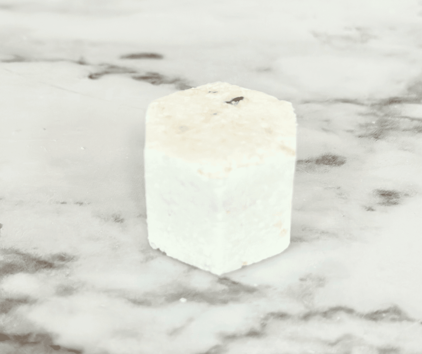 Warm Oat Milk + Cinnamon Mini Shower Steamers - Songbird Gifts