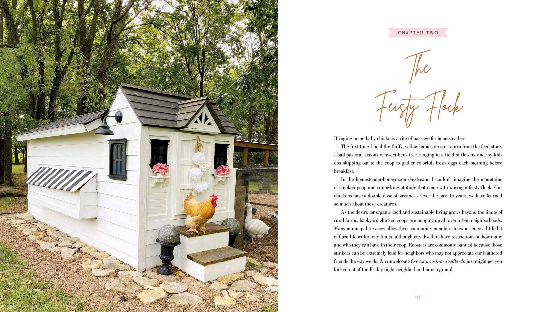 The Grace-Filled Homestead - Songbird Gifts