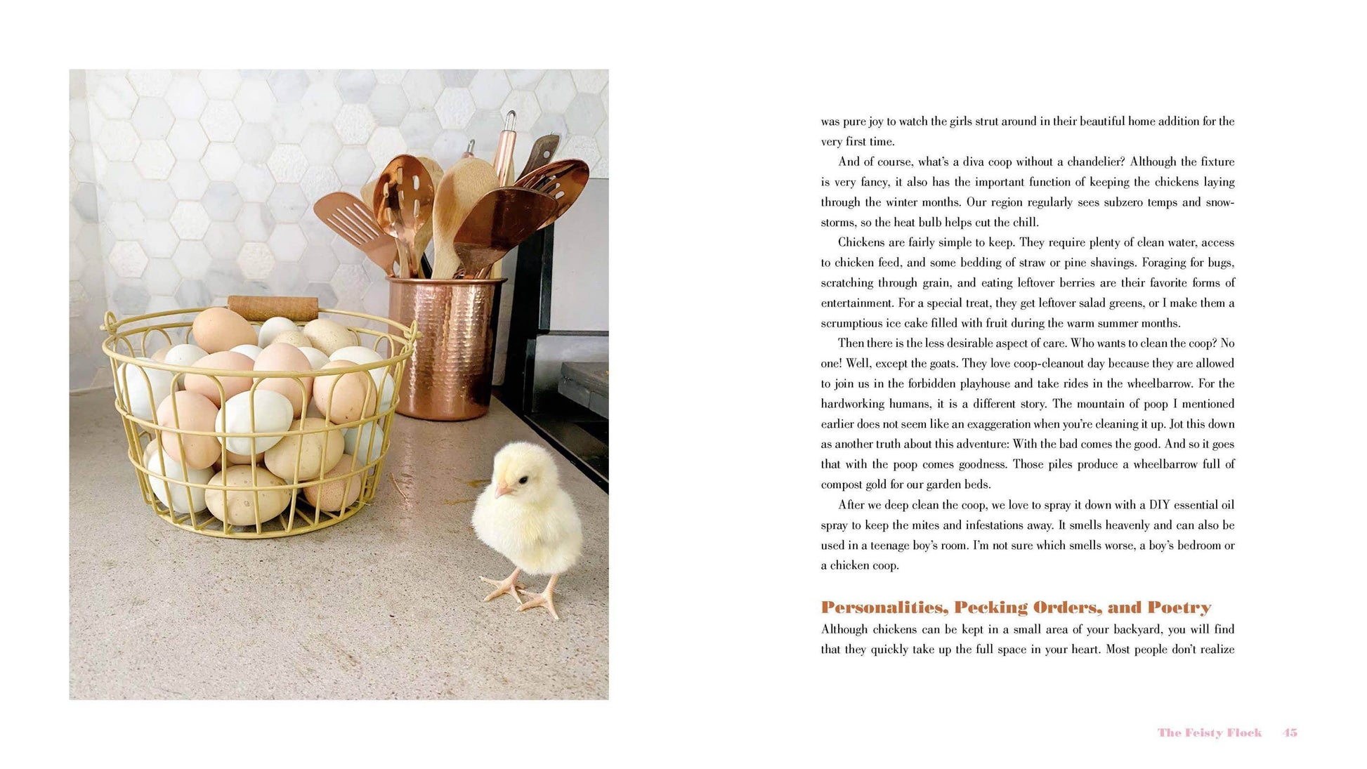 The Grace-Filled Homestead - Songbird Gifts