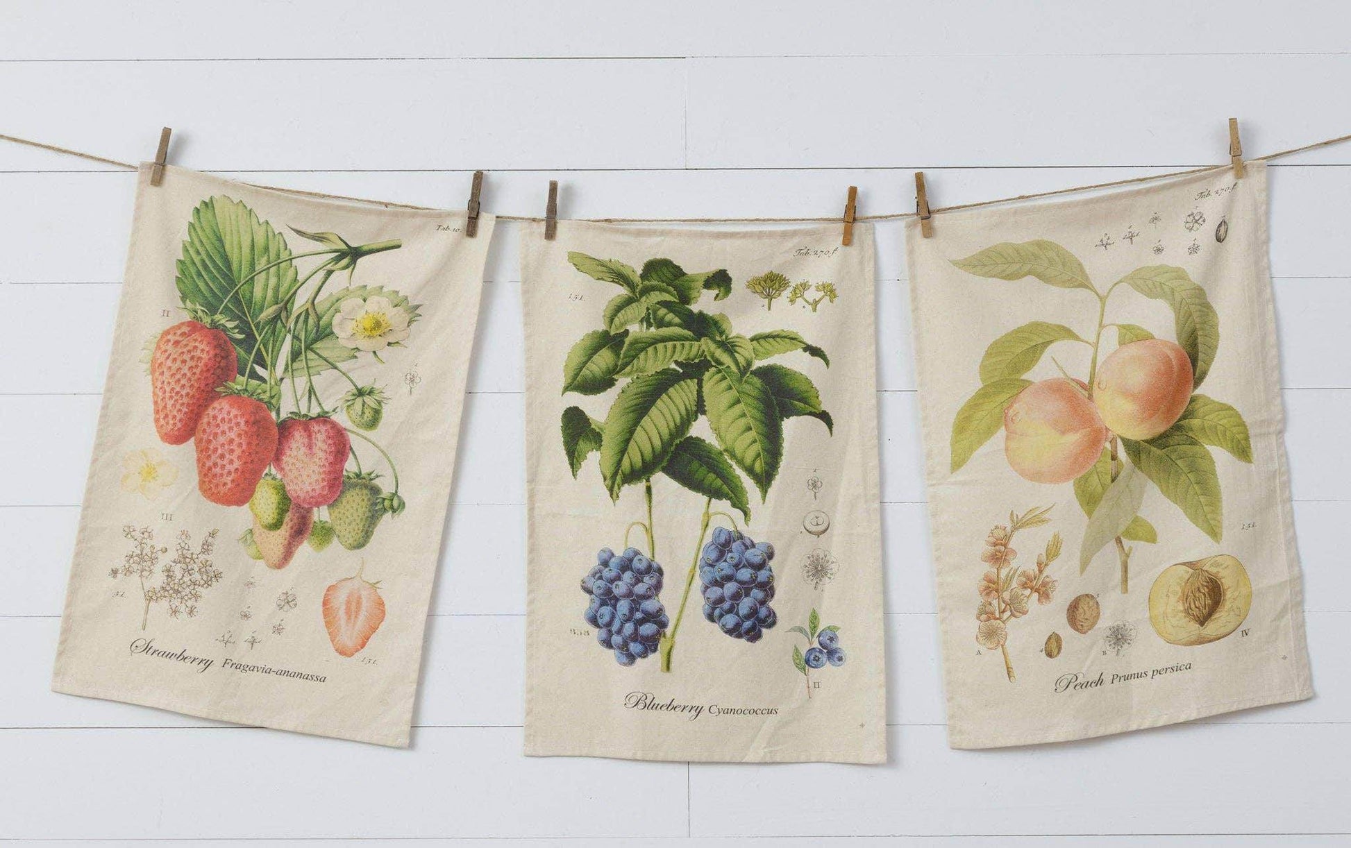 Tea Towels - Freshly Picked (Pk/03 Ast) - Songbird Gifts