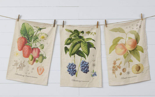 Tea Towels - Freshly Picked (Pk/03 Ast) - Songbird Gifts