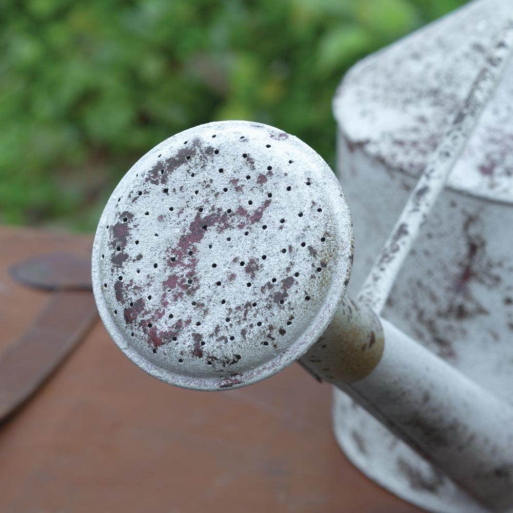 Speckled Rose Watering Can - Songbird Gifts