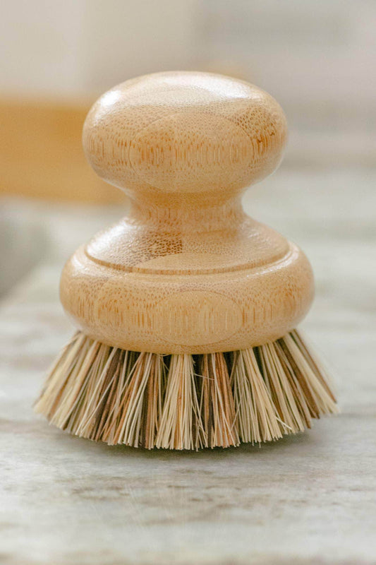 CASA AGAVE® Pot Scrubber Brush - Songbird Gifts