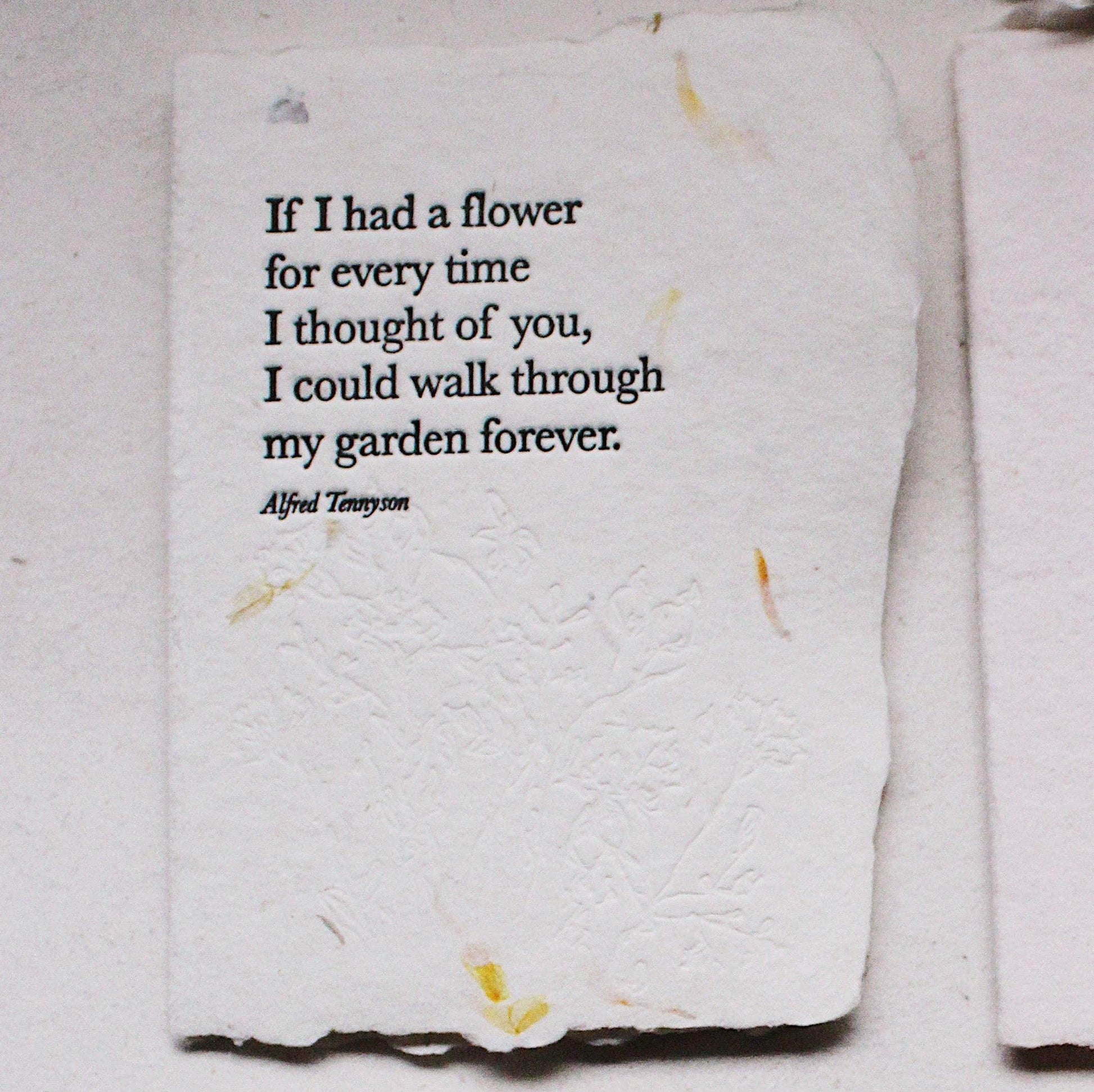 Love Quote Cards - I - Songbird Gifts