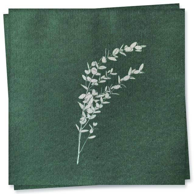 Eucalyptus Cinera Dinner Napkin - Songbird Gifts