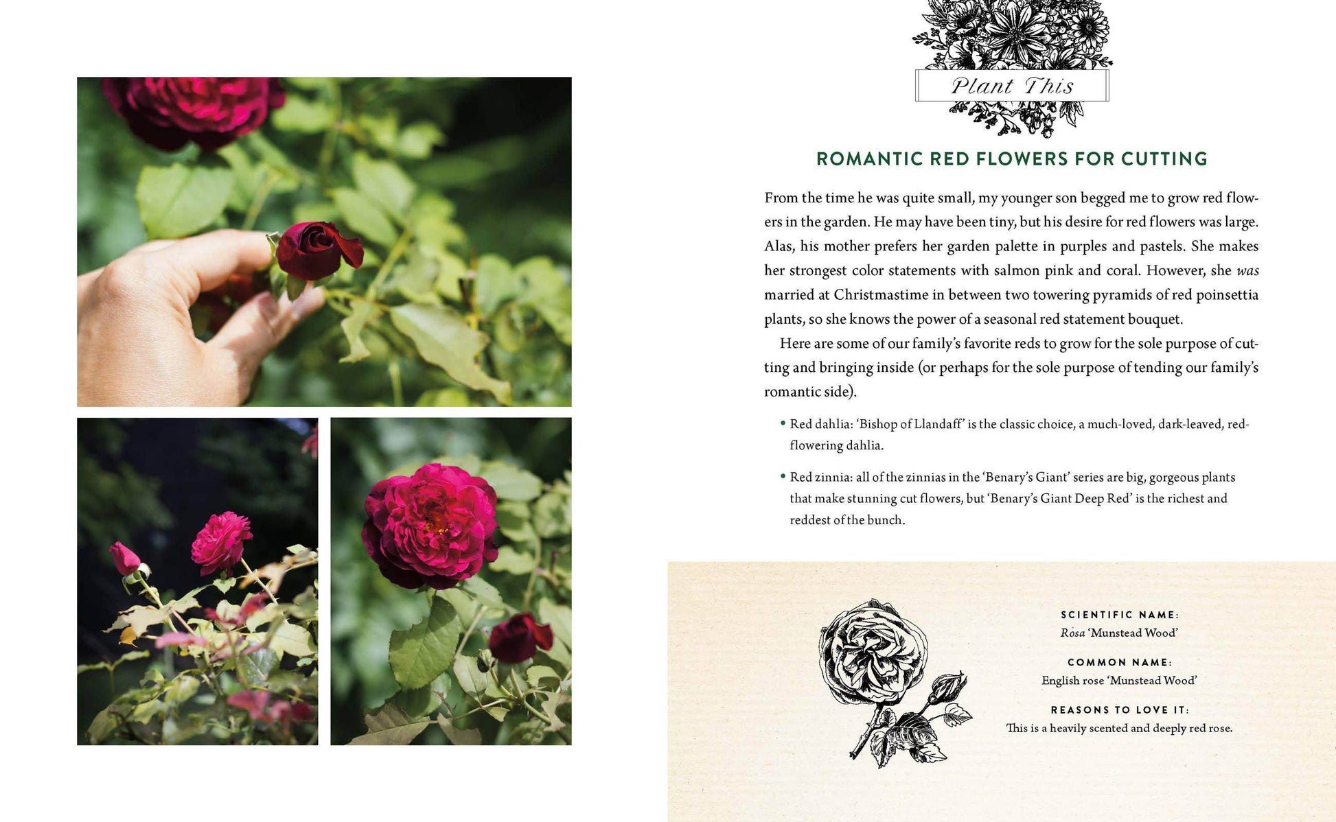 A Home in Bloom - Songbird Gifts