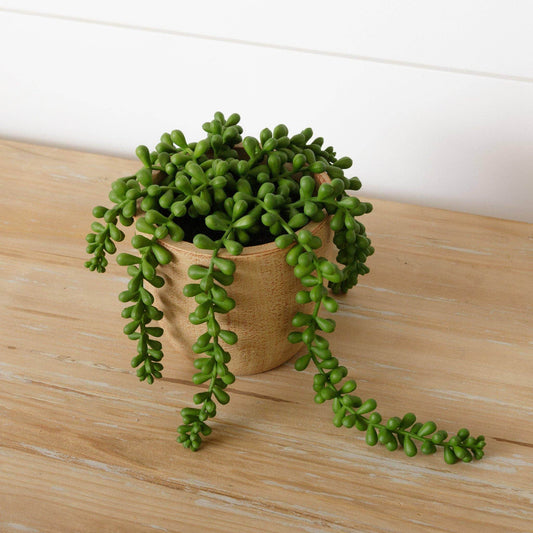 Faux Potted String Of Pearls (PC) - Songbird Gifts