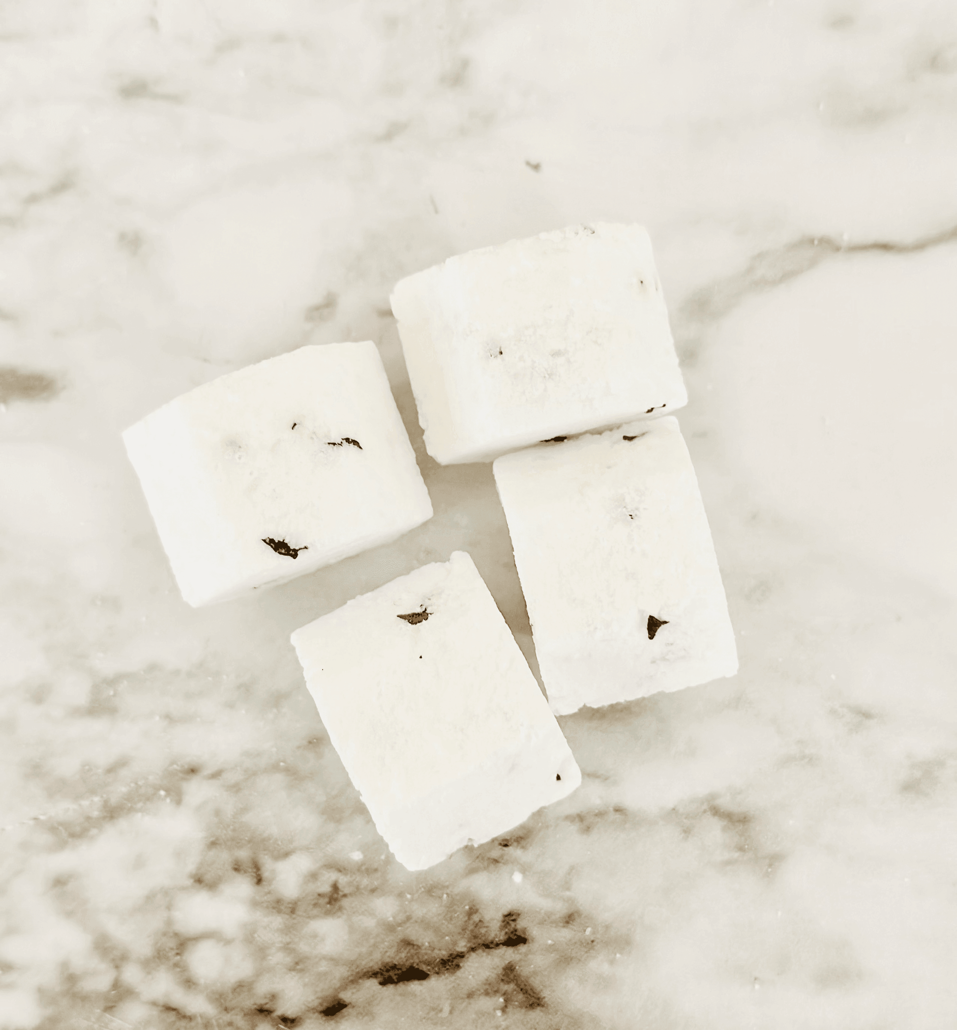 Peppermint + Eucalyptus Mini Shower Steamers - Songbird Gifts