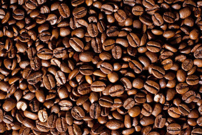 Off Duty Coffee Roastery ( El Dragon) 12OZ - Songbird Gifts