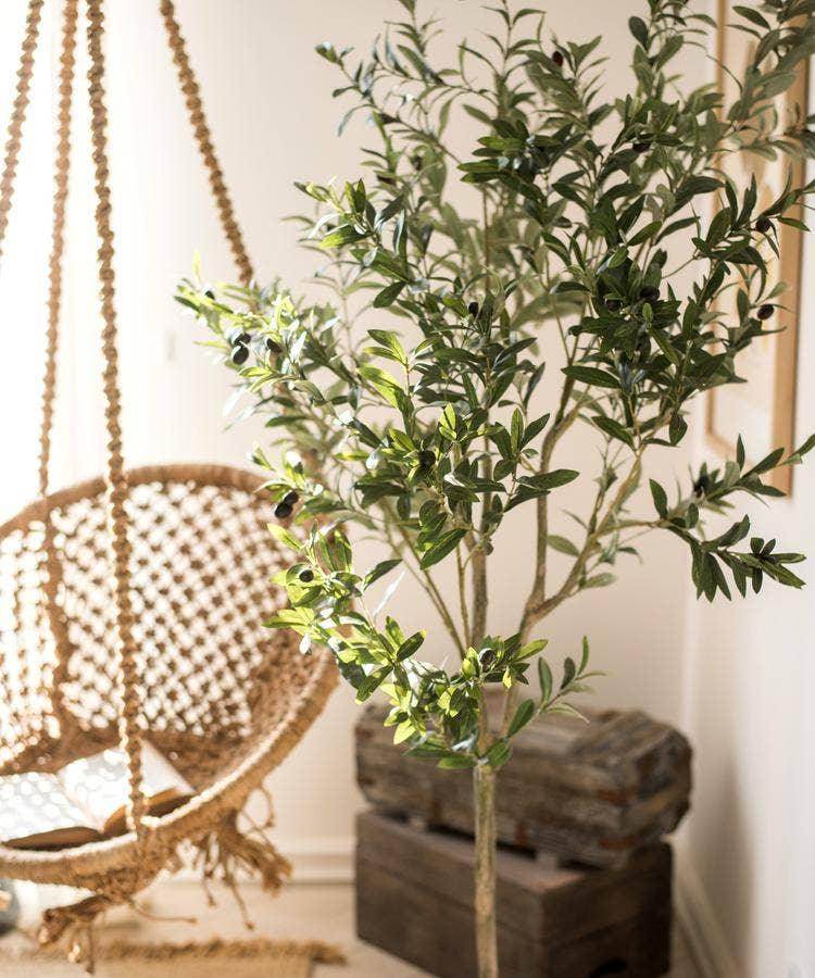Artificial Olive Tree - Songbird Gifts