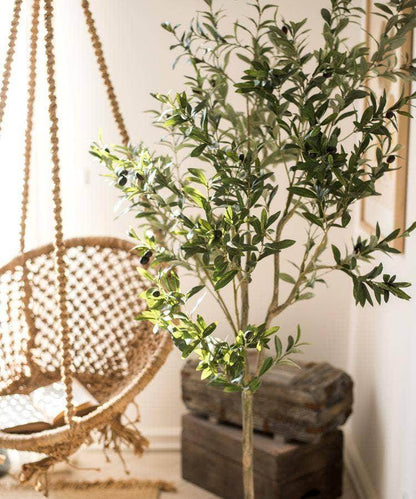Artificial Olive Tree - Songbird Gifts